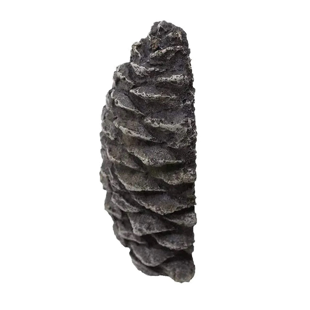 Hargrove Flat Decorative Pine Cone Valve Concealer (HG1215BX)