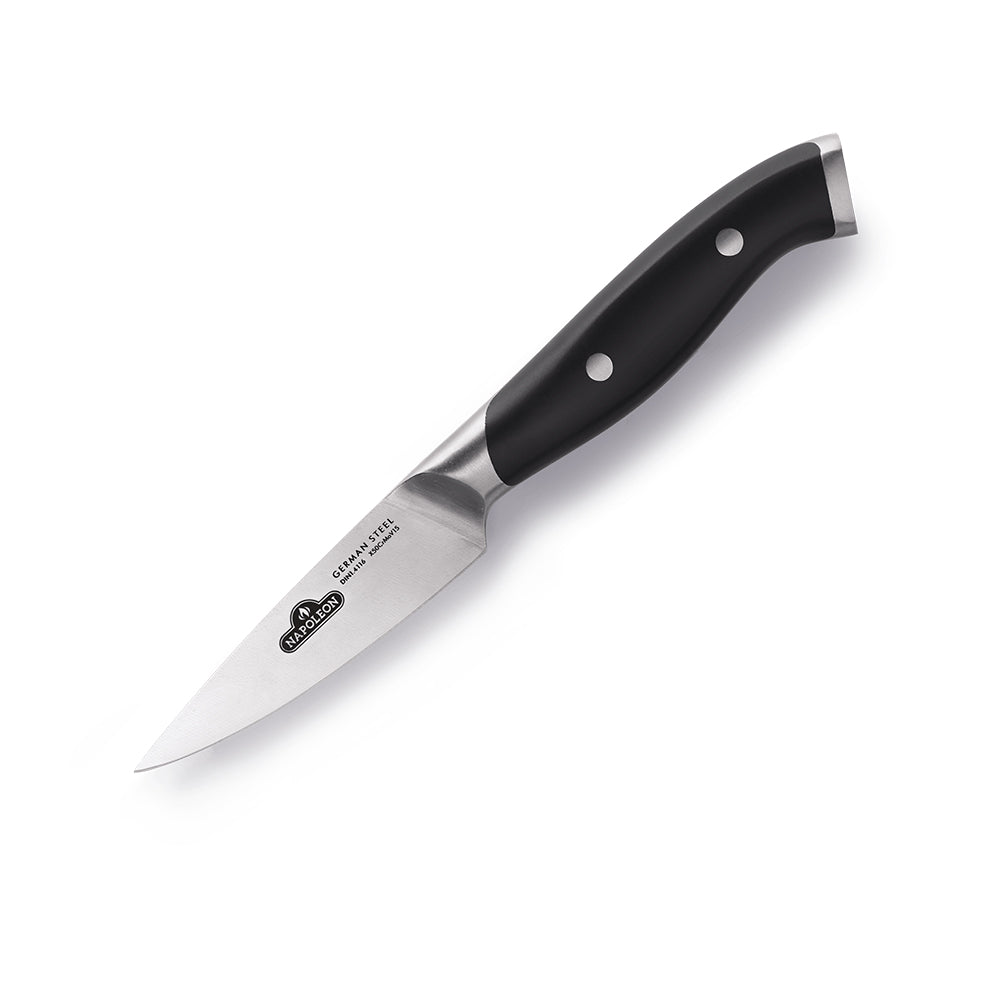 Paring knife with stainless steel blade and black handle with rivets