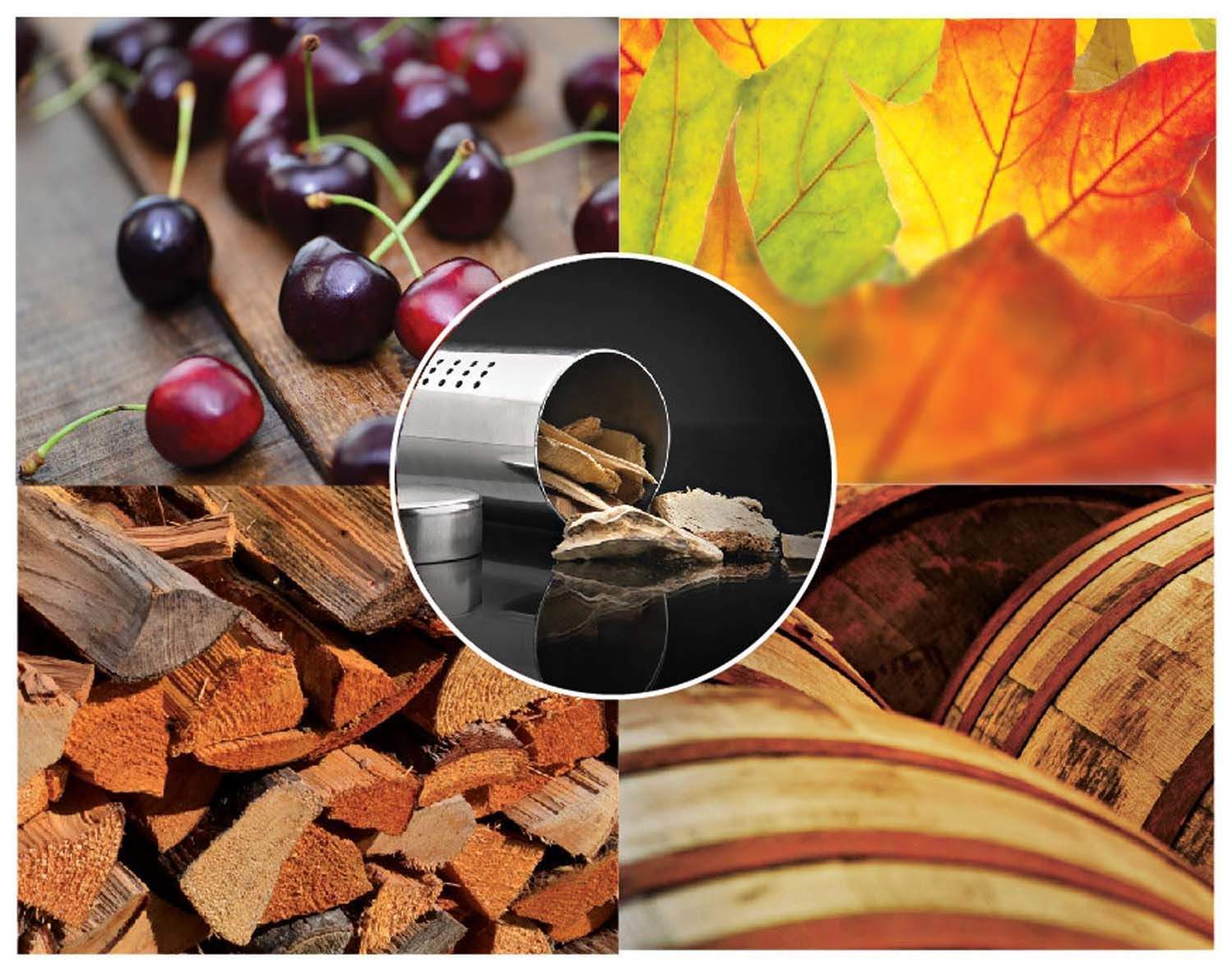 Napoleon BBQ Smoker Starter Kit