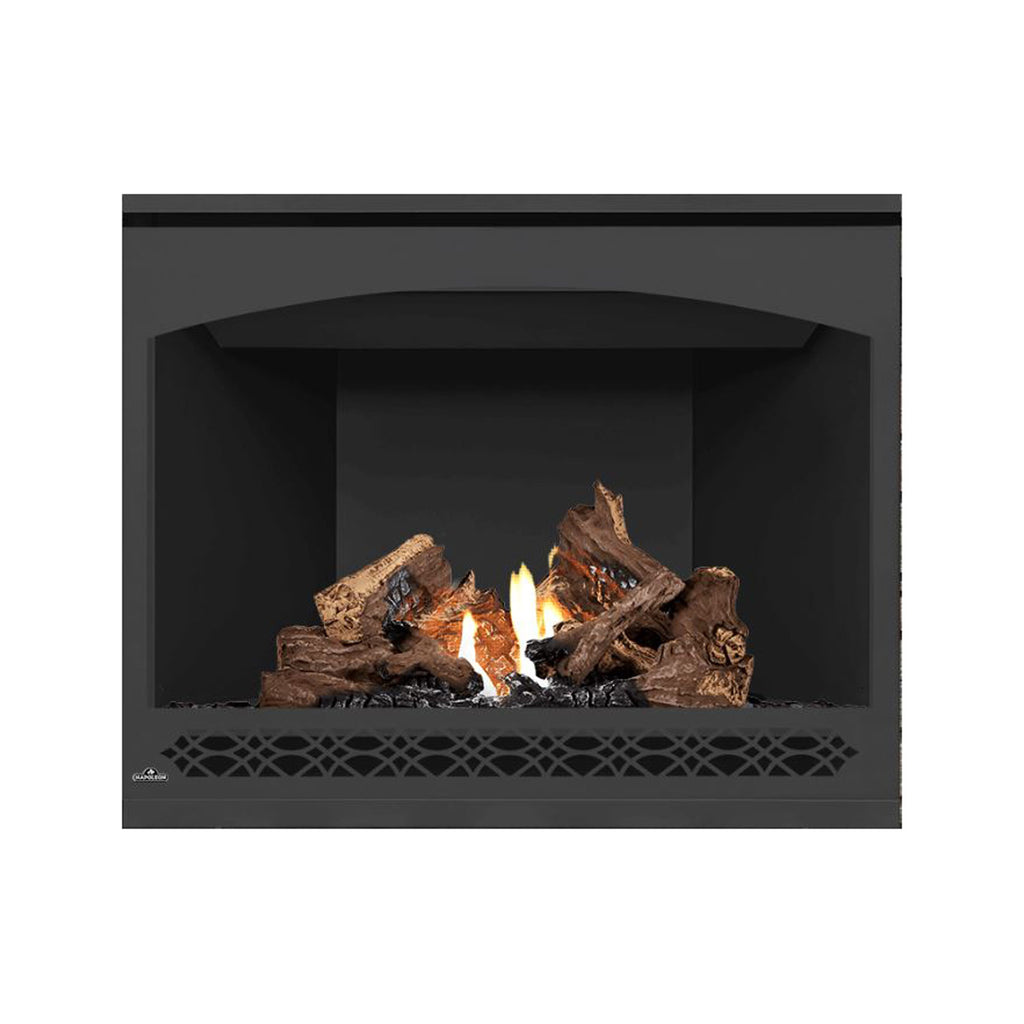 Napoleon direct vent gas fireplace with dark door and burning log set