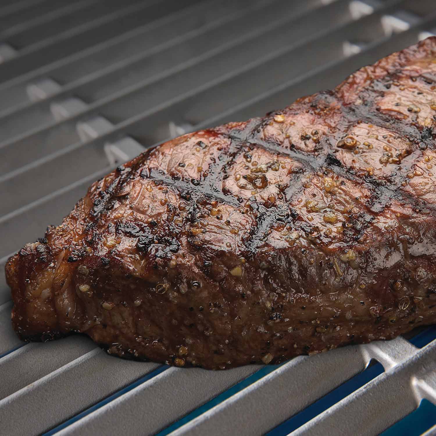 Steak resting on a stainless steel cooking grid