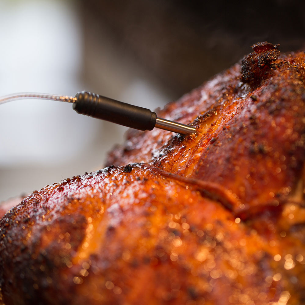 Stainless probe tip inserted into seared meat, black wire leading away
