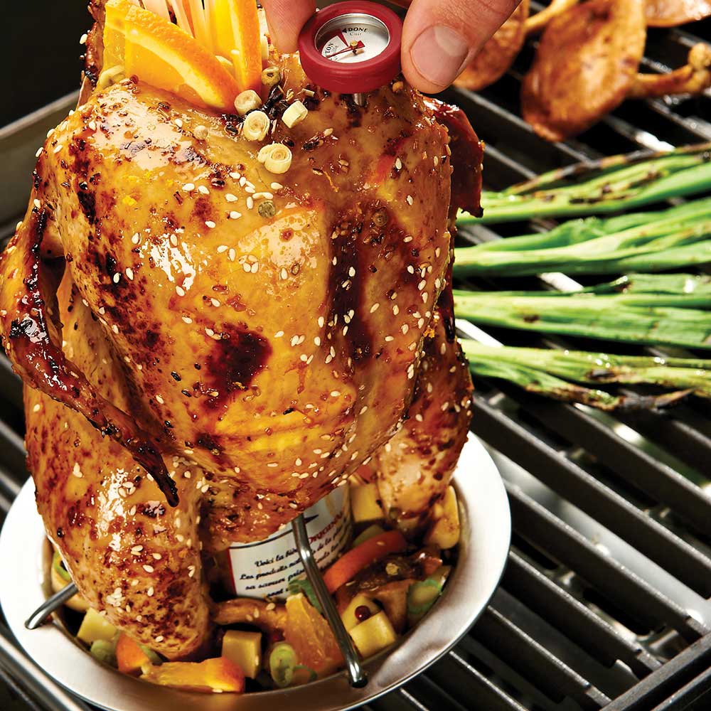Seasoned roasted chicken on roaster stand with red thermometer and vegetables