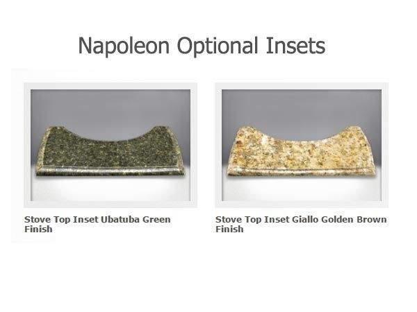 Napoleon Castlemore Direct Vent Cast Iron Gas Stove