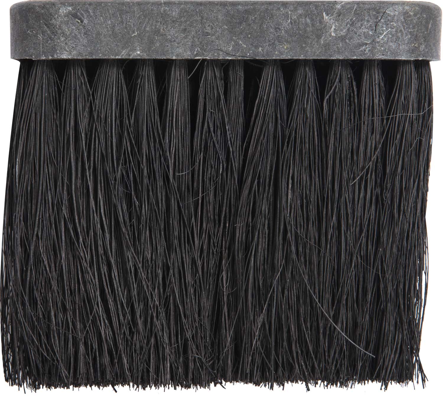 Dagan replacement brush head with dense black bristles