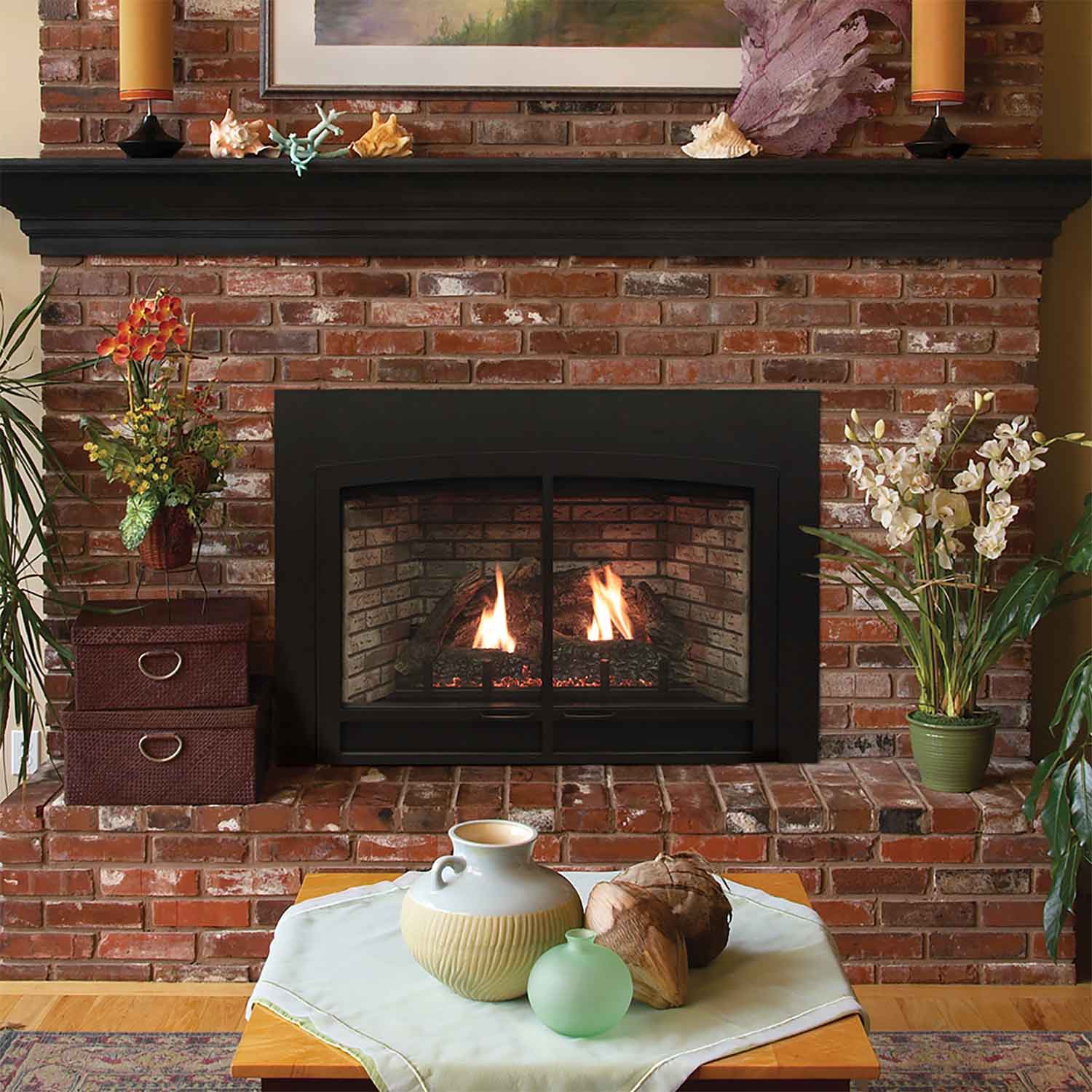 White Mountain Hearth DVC20IN Innsbrook Clean-Face Direct Vent Gas Fireplace Insert, 20-Inches