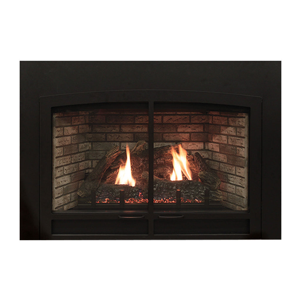 White Mountain Hearth DVC20IN Innsbrook Clean-Face Direct Vent Gas Fireplace Insert, 20-Inches