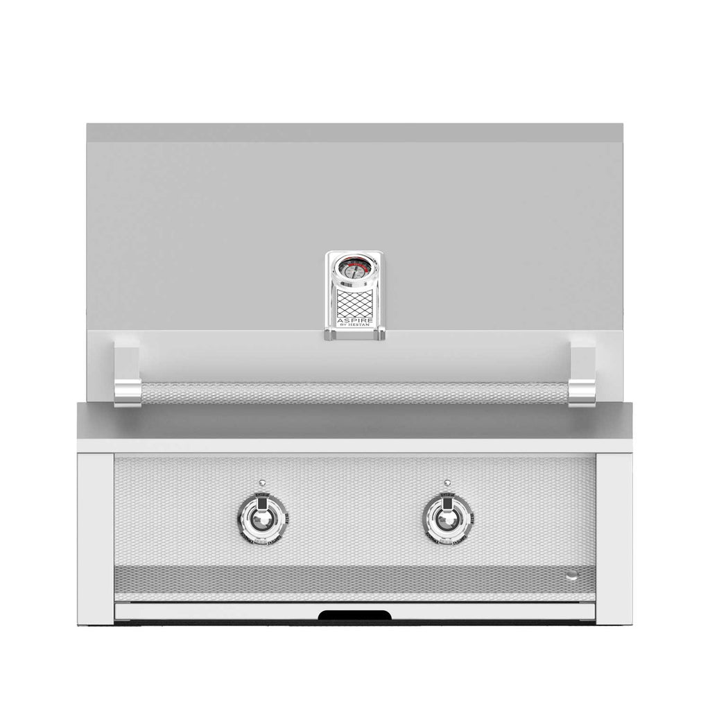 Built-in gas grill front with two chrome control knobs, mesh burner panel, stainless hood