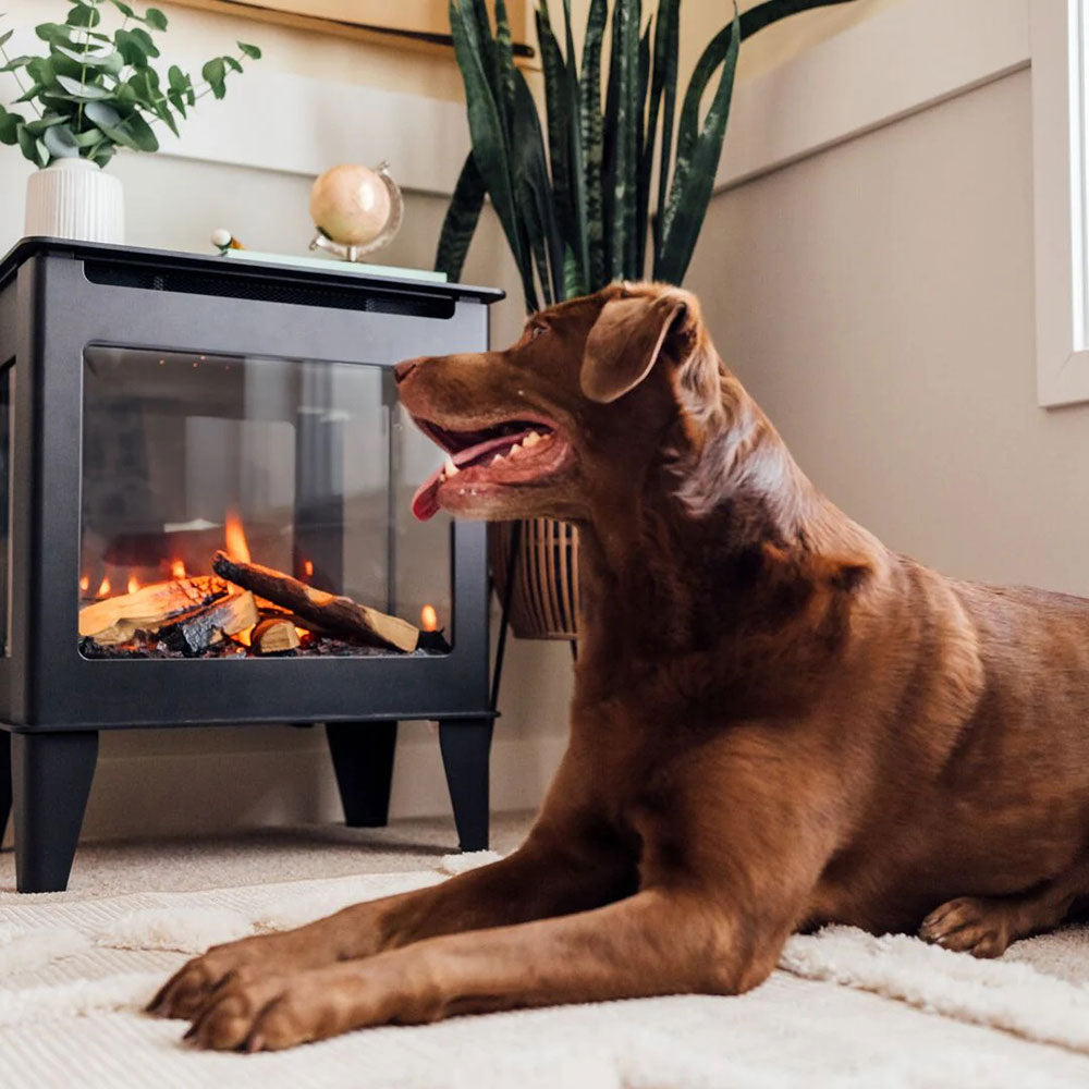 Forge & Flame Fuzion Freestanding Electric Stove