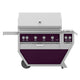 Freestanding gas grill with purple control panel, stainless steel body, side shelf