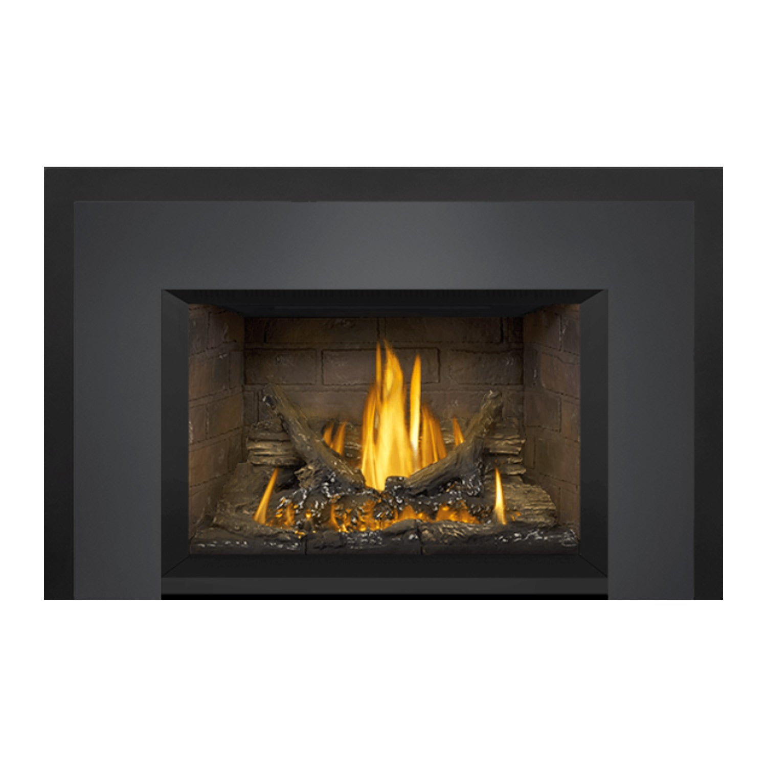 Napoleon GDI3N-1 Oakville Series Millivolt Ignition Direct Vent Gas Fireplace Insert