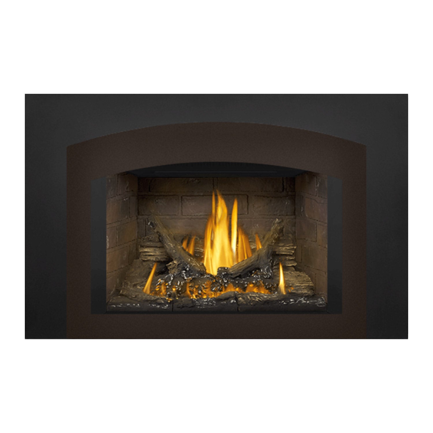 Napoleon GDI3NE-1 Oakville Series Electronic Ignition Direct Vent Gas Fireplace Insert