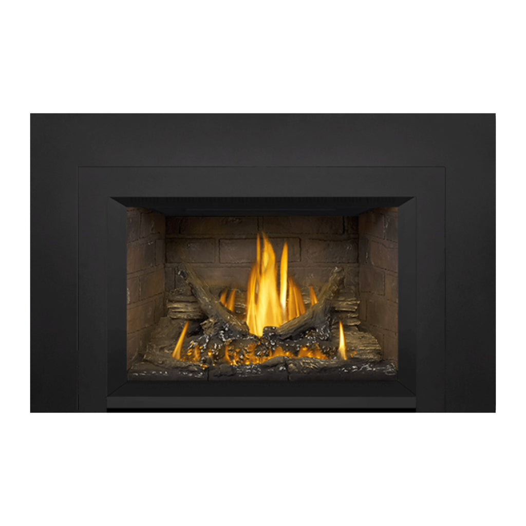 Napoleon GDI3N-1 Oakville Series Millivolt Ignition Direct Vent Gas Fireplace Insert