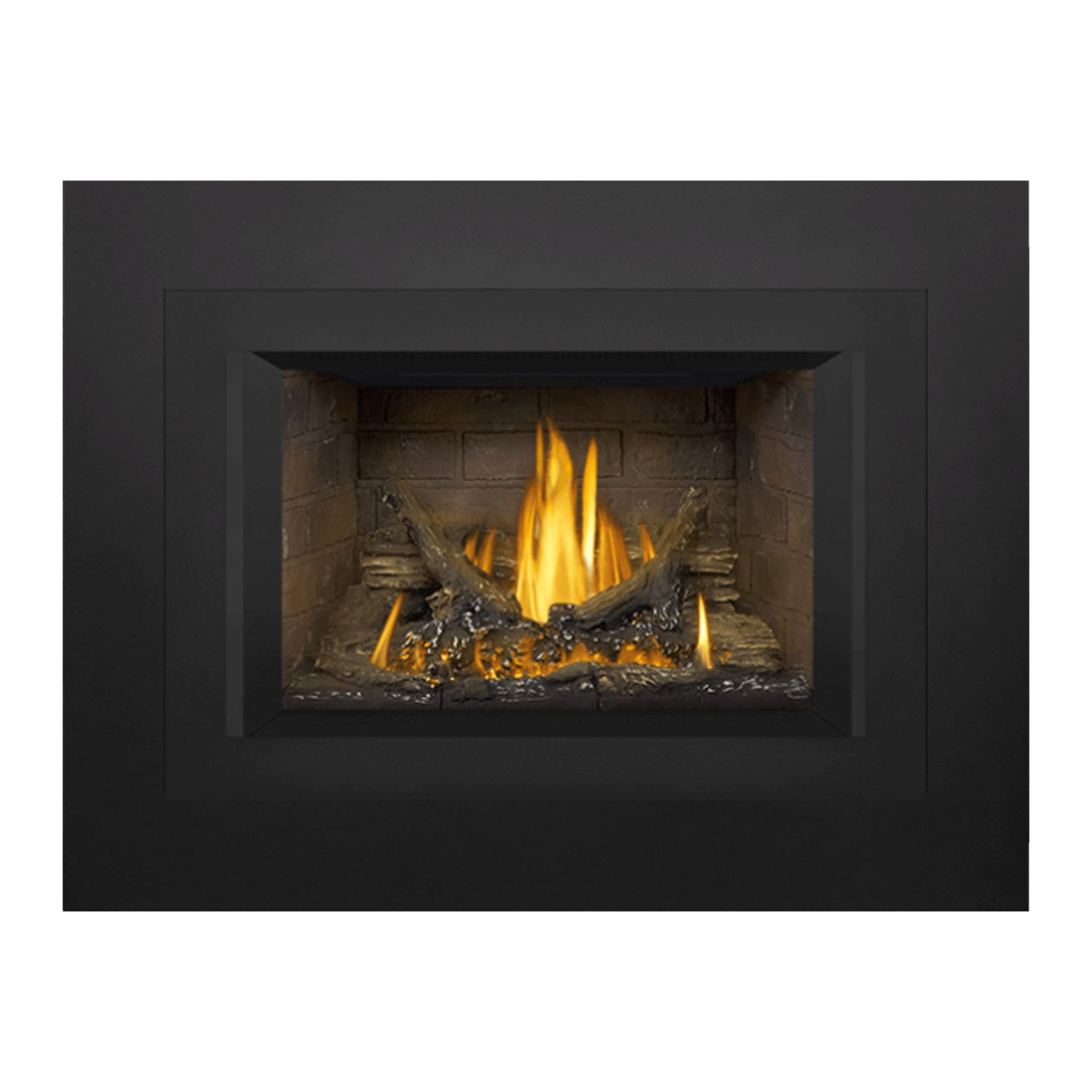 Napoleon GDI3N-1 Oakville Series Millivolt Ignition Direct Vent Gas Fireplace Insert