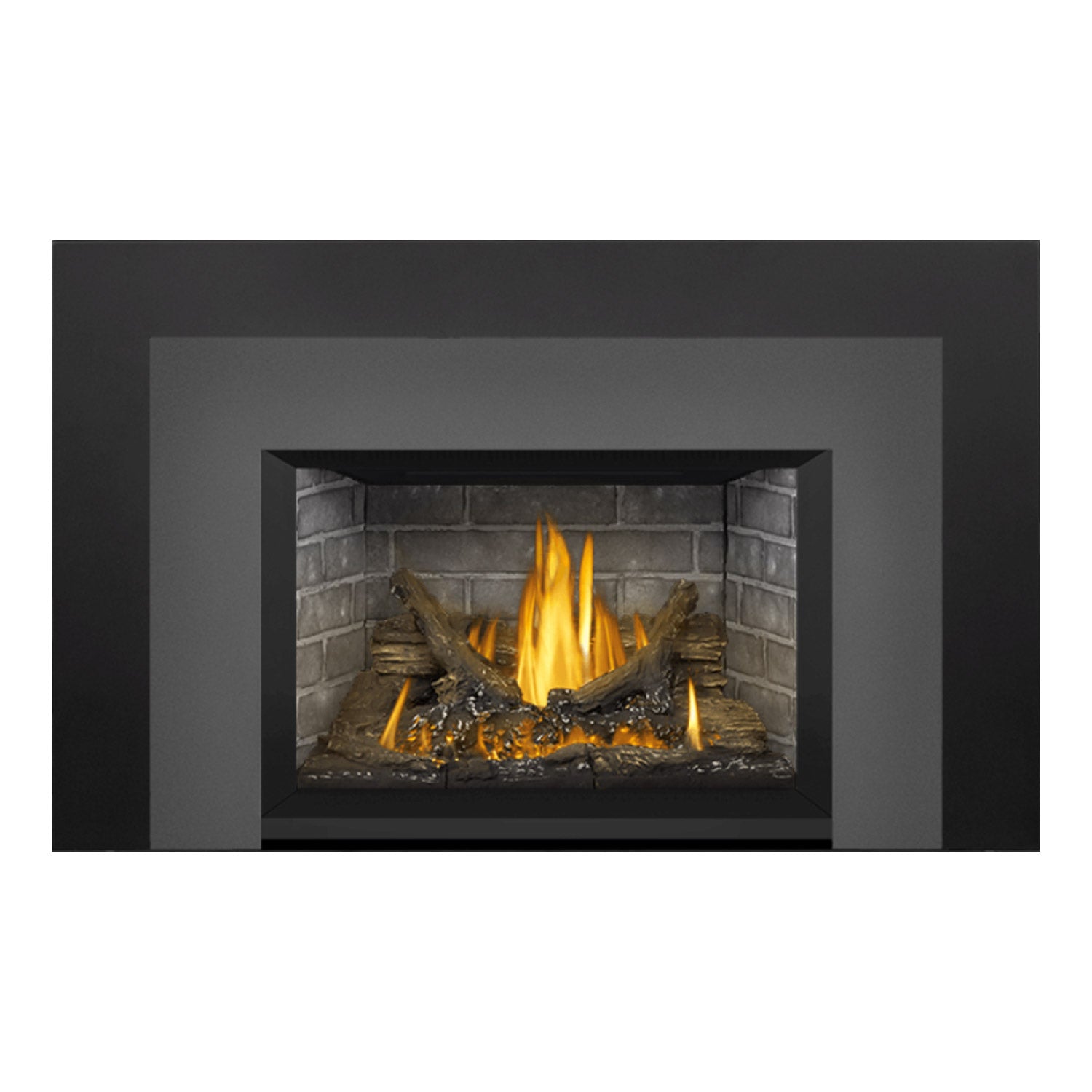 Napoleon GDI3NE-1 Oakville Series Electronic Ignition Direct Vent Gas Fireplace Insert
