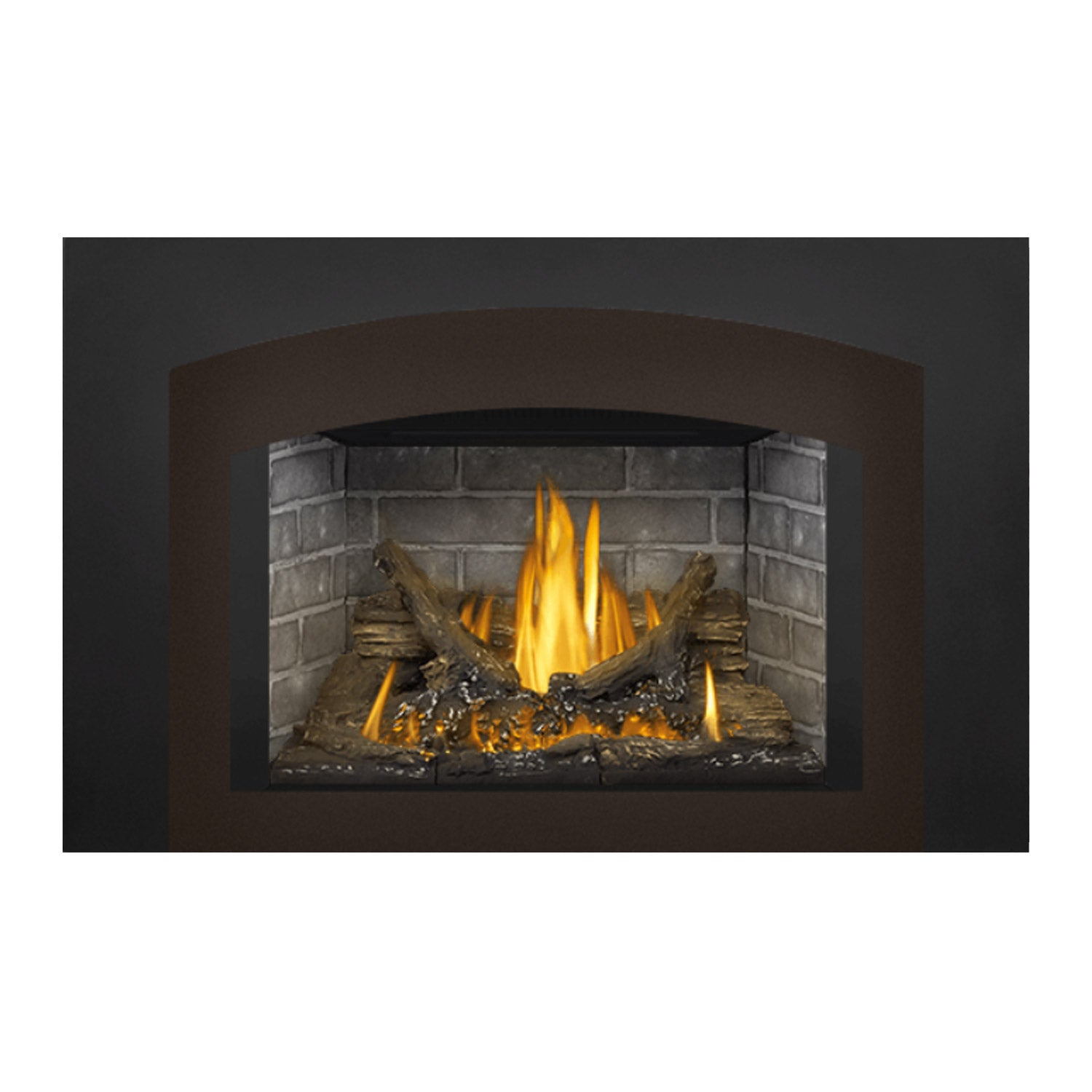 Napoleon GDI3NE-1 Oakville Series Electronic Ignition Direct Vent Gas Fireplace Insert