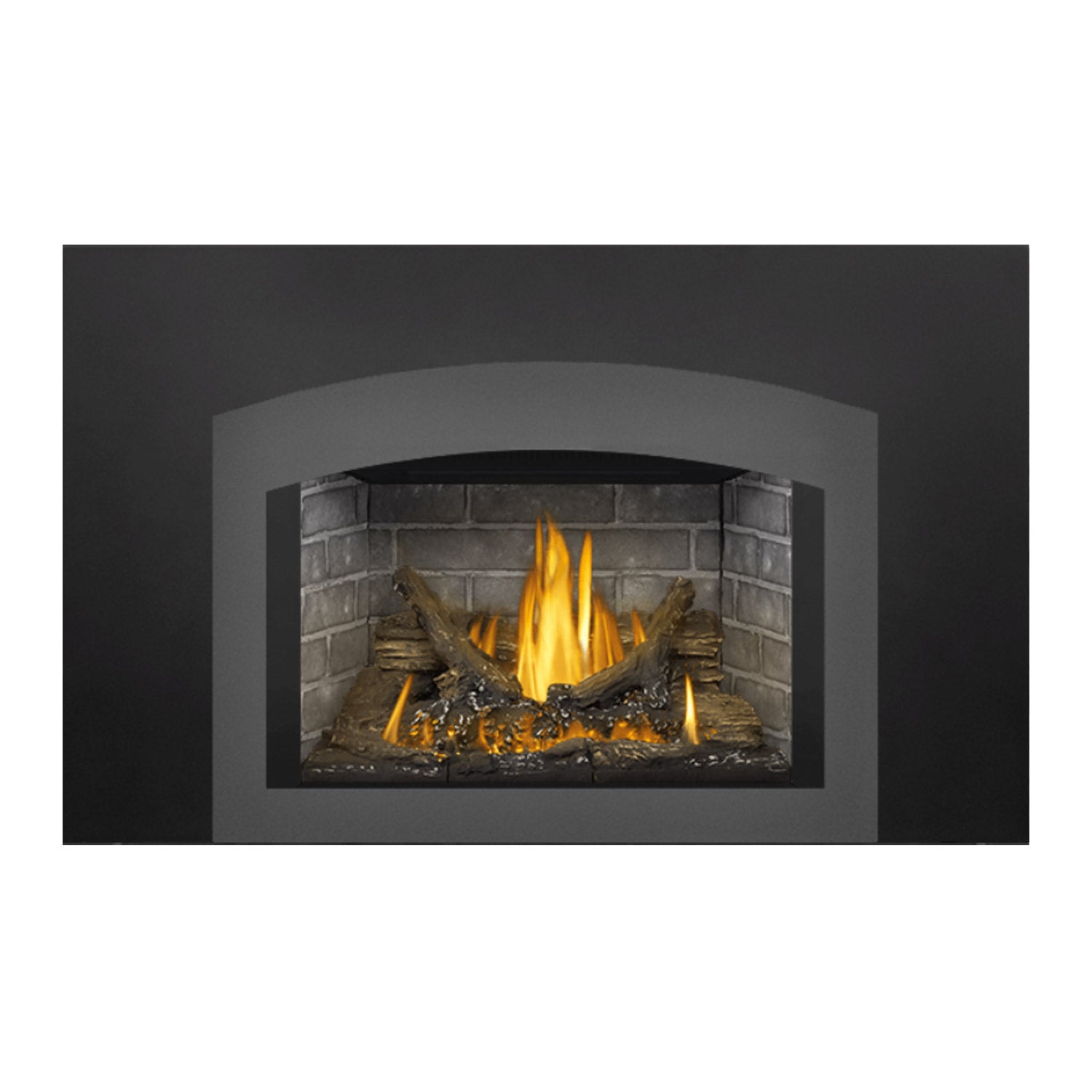 Napoleon GDI3NE-1 Oakville Series Electronic Ignition Direct Vent Gas Fireplace Insert