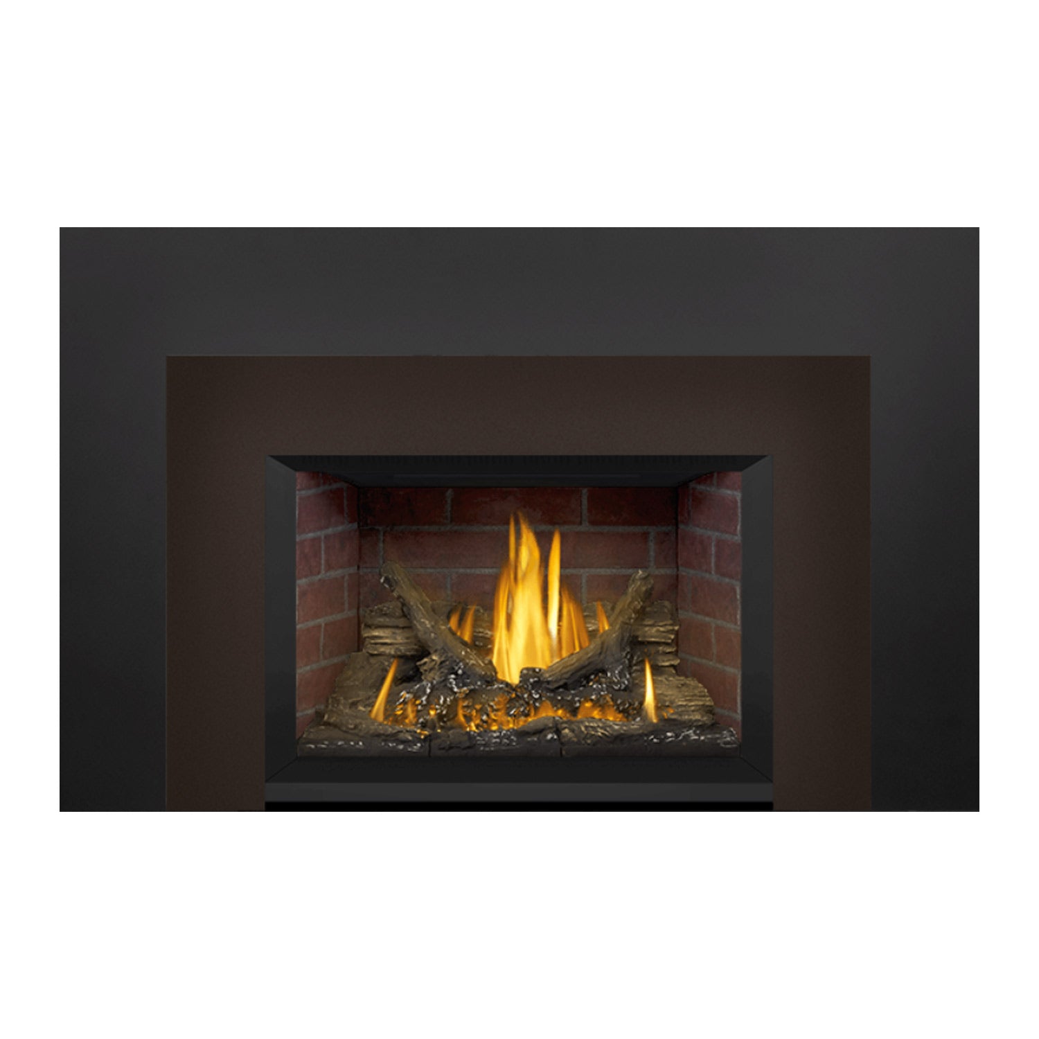 Napoleon GDI3NE-1 Oakville Series Electronic Ignition Direct Vent Gas Fireplace Insert