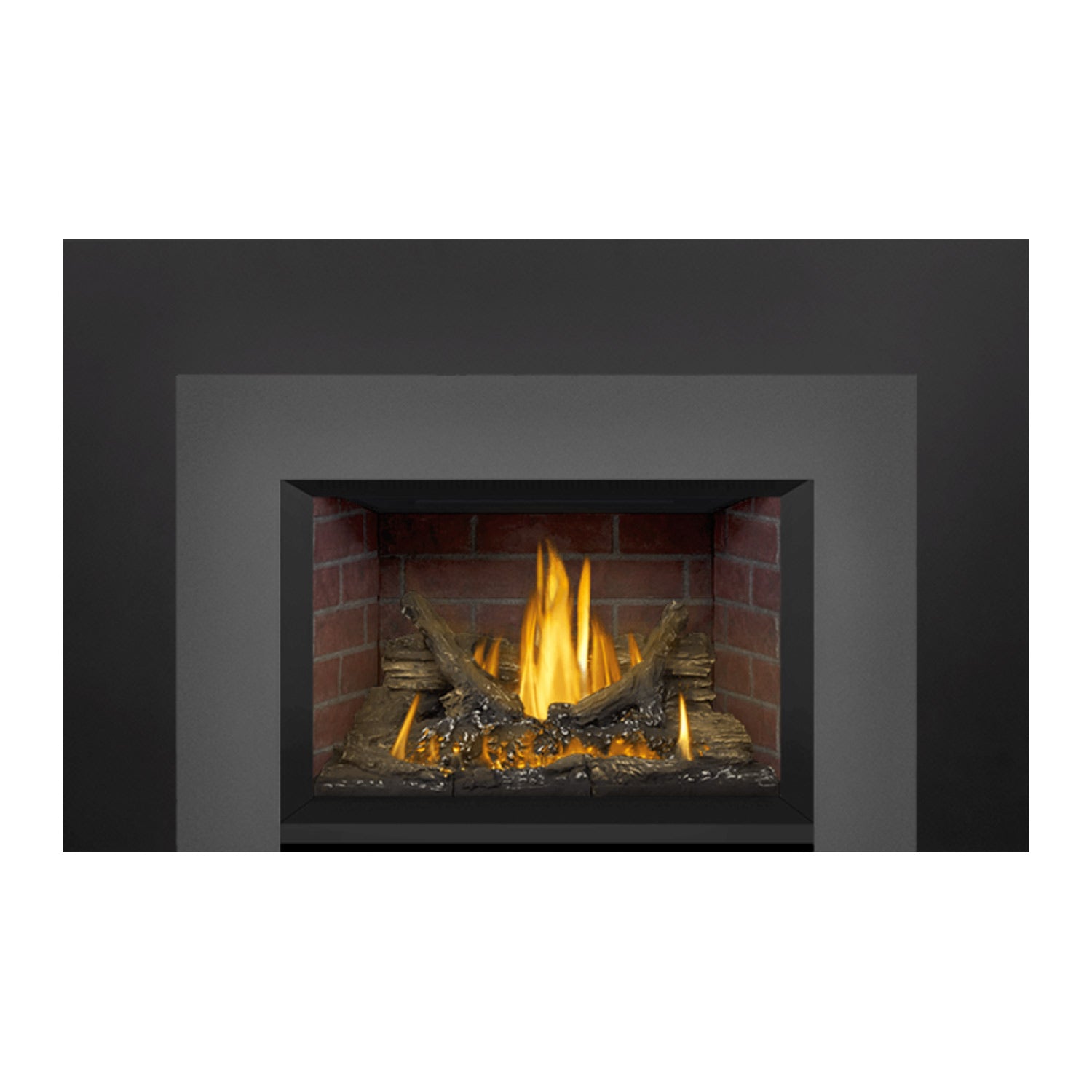Napoleon GDI3N-1 Oakville Series Millivolt Ignition Direct Vent Gas Fireplace Insert