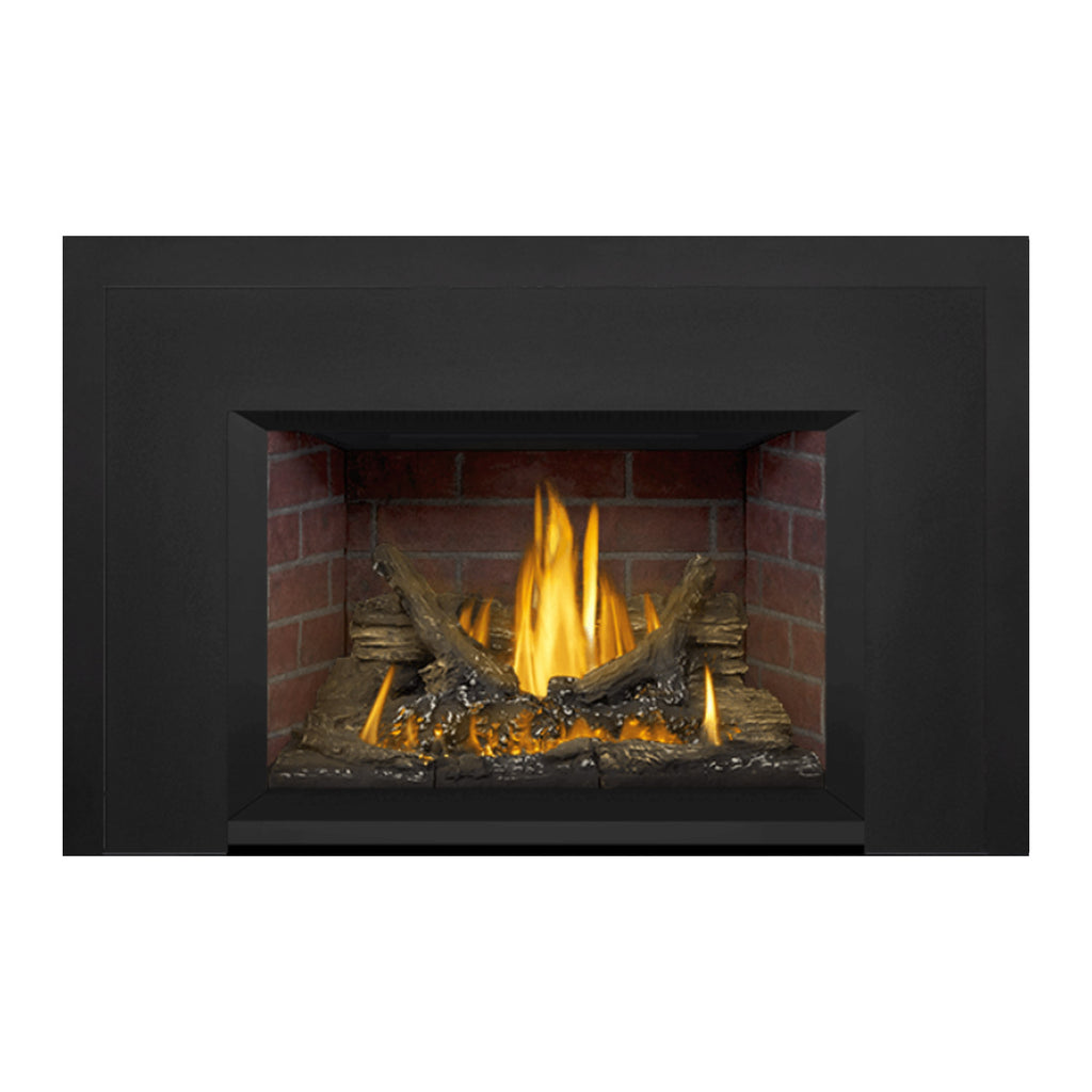 Napoleon GDI3NE-1 Oakville Series Electronic Ignition Direct Vent Gas Fireplace Insert