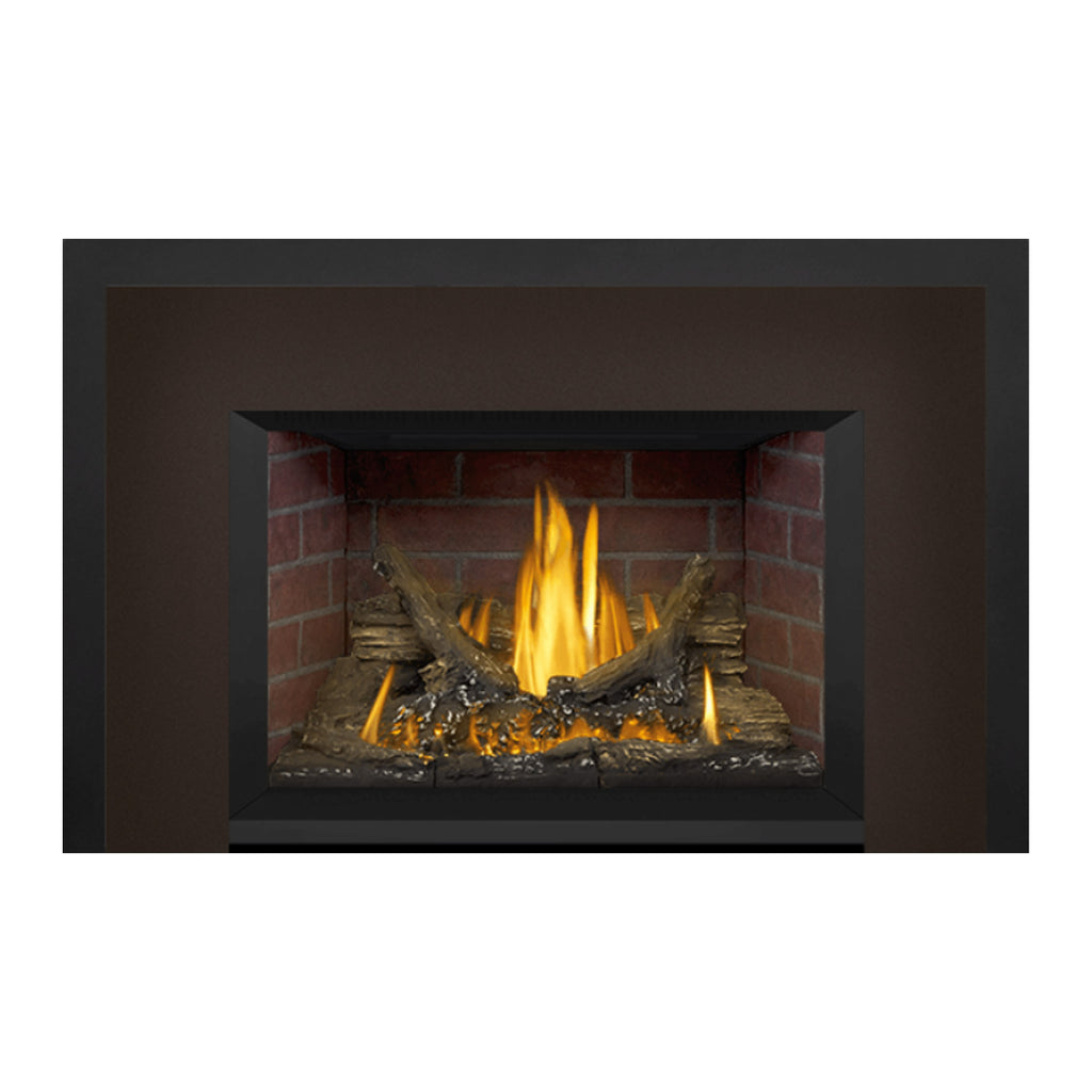 Napoleon GDI3NE-1 Oakville Series Electronic Ignition Direct Vent Gas Fireplace Insert