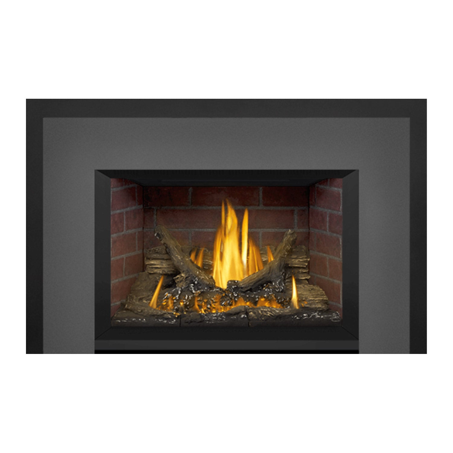 Napoleon GDI3NE-1 Oakville Series Electronic Ignition Direct Vent Gas Fireplace Insert