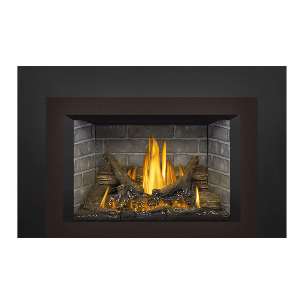 Napoleon GDI3NE-1 Oakville Series Electronic Ignition Direct Vent Gas Fireplace Insert