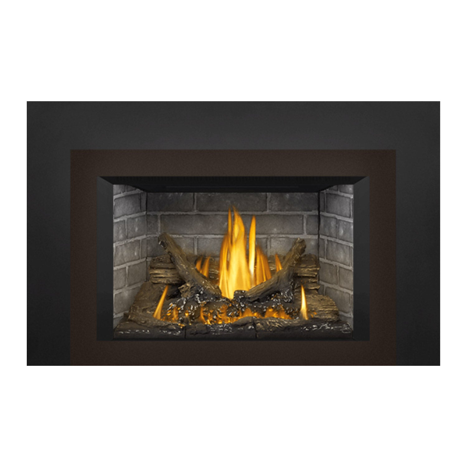 Napoleon GDI3NE-1 Oakville Series Electronic Ignition Direct Vent Gas Fireplace Insert