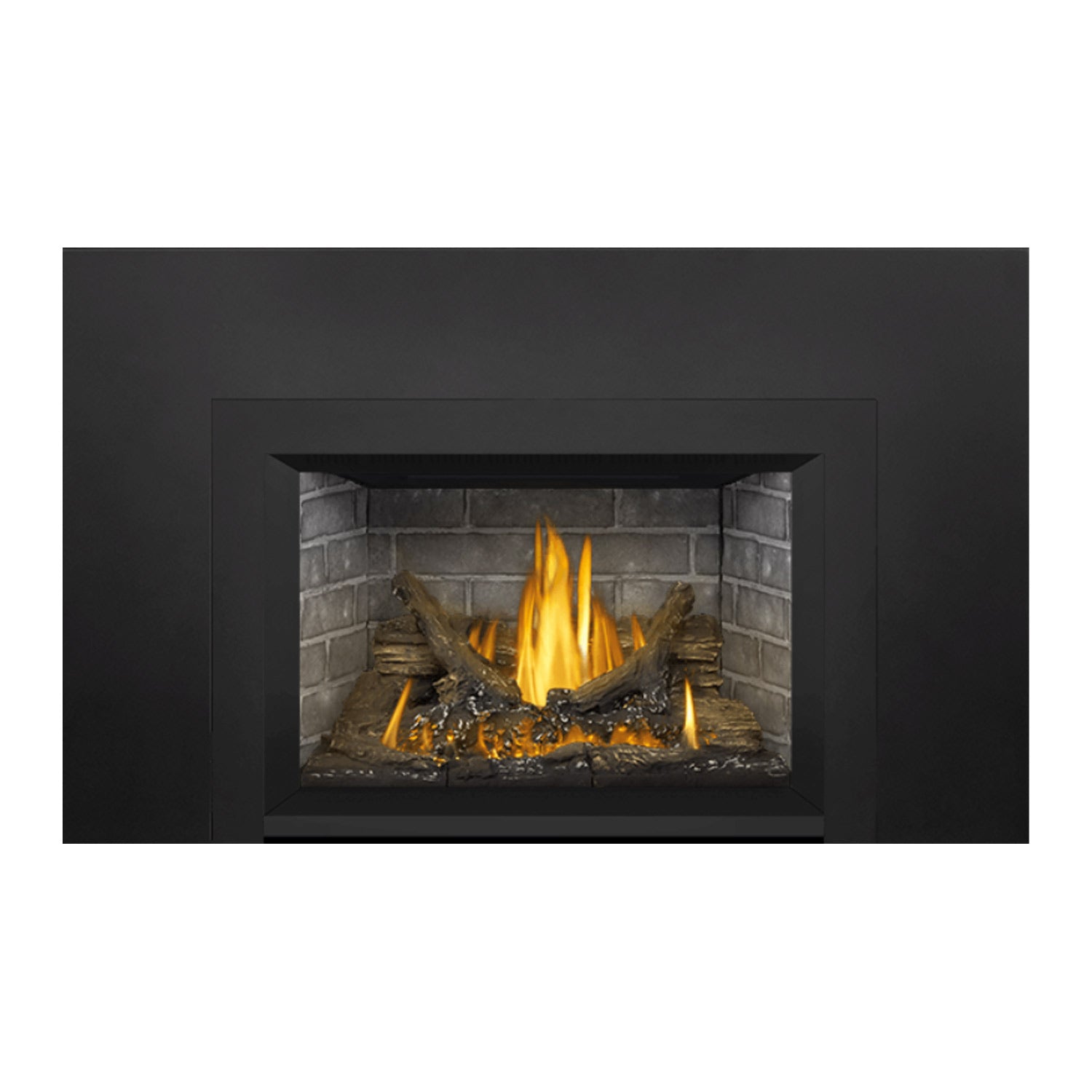 Napoleon GDI3NE-1 Oakville Series Electronic Ignition Direct Vent Gas Fireplace Insert