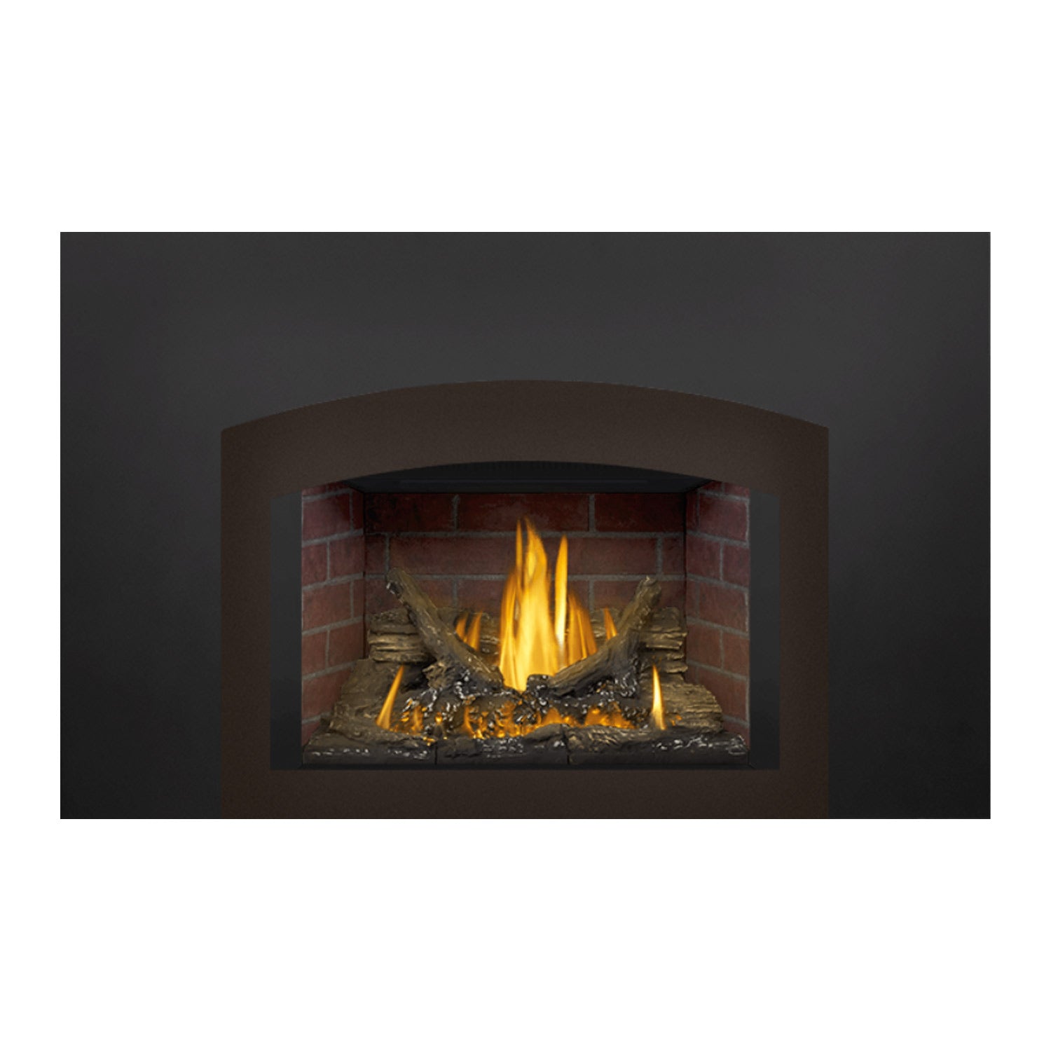 Napoleon GDI3N-1 Oakville Series Millivolt Ignition Direct Vent Gas Fireplace Insert