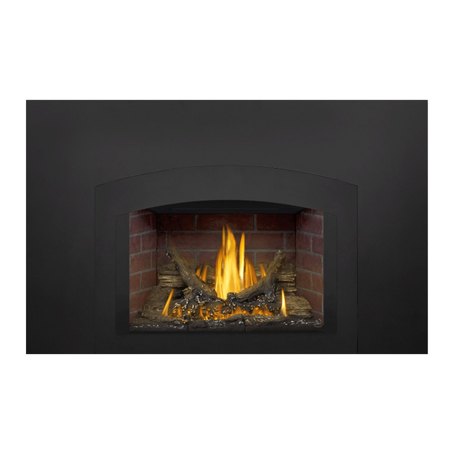 Napoleon GDI3N-1 Oakville Series Millivolt Ignition Direct Vent Gas Fireplace Insert