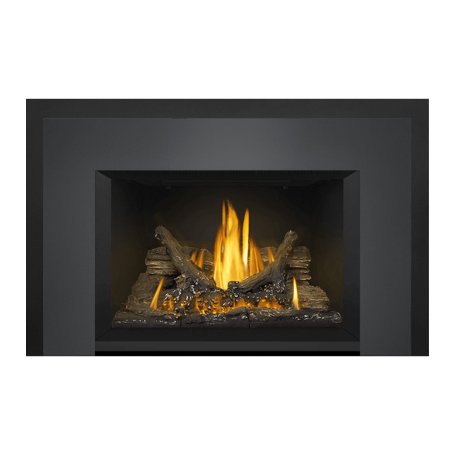 Napoleon GDI3NE-1 Oakville Series Electronic Ignition Direct Vent Gas Fireplace Insert