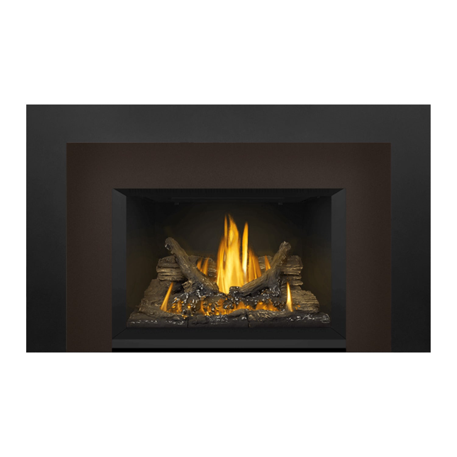 Napoleon GDI3N-1 Oakville Series Millivolt Ignition Direct Vent Gas Fireplace Insert