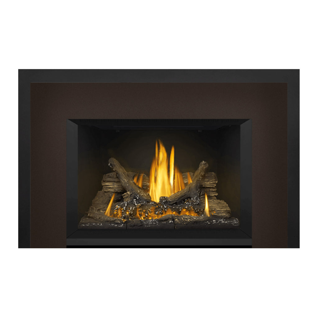 Napoleon GDI3NE-1 Oakville Series Electronic Ignition Direct Vent Gas Fireplace Insert