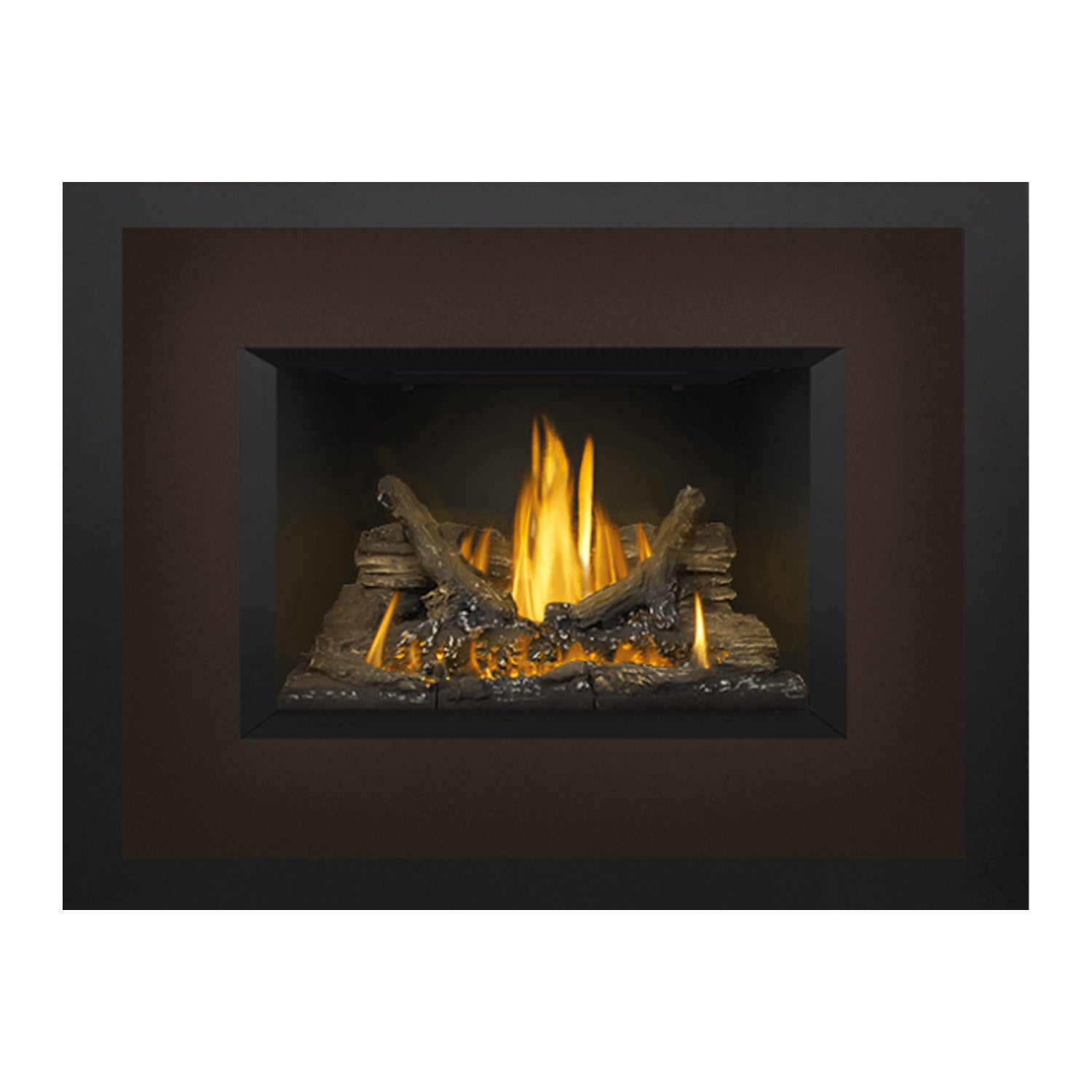 Napoleon GDI3NE-1 Oakville Series Electronic Ignition Direct Vent Gas Fireplace Insert