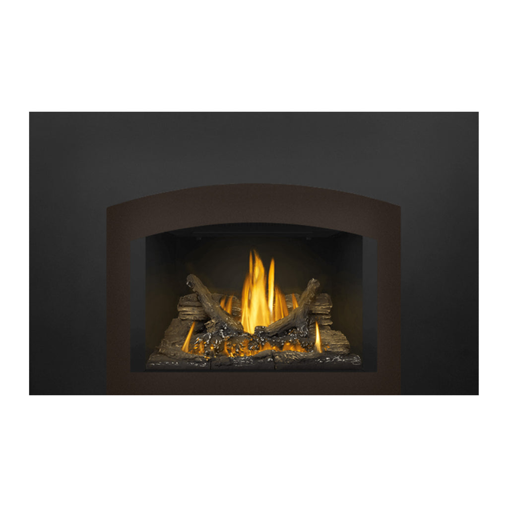 Napoleon GDI3N-1 Oakville Series Millivolt Ignition Direct Vent Gas Fireplace Insert