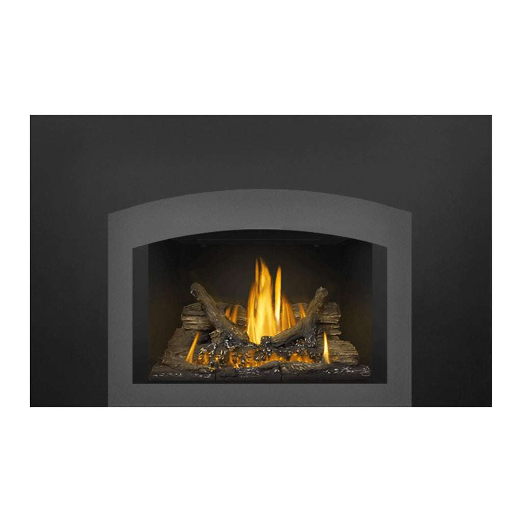 Napoleon GDI3N-1 Oakville Series Millivolt Ignition Direct Vent Gas Fireplace Insert