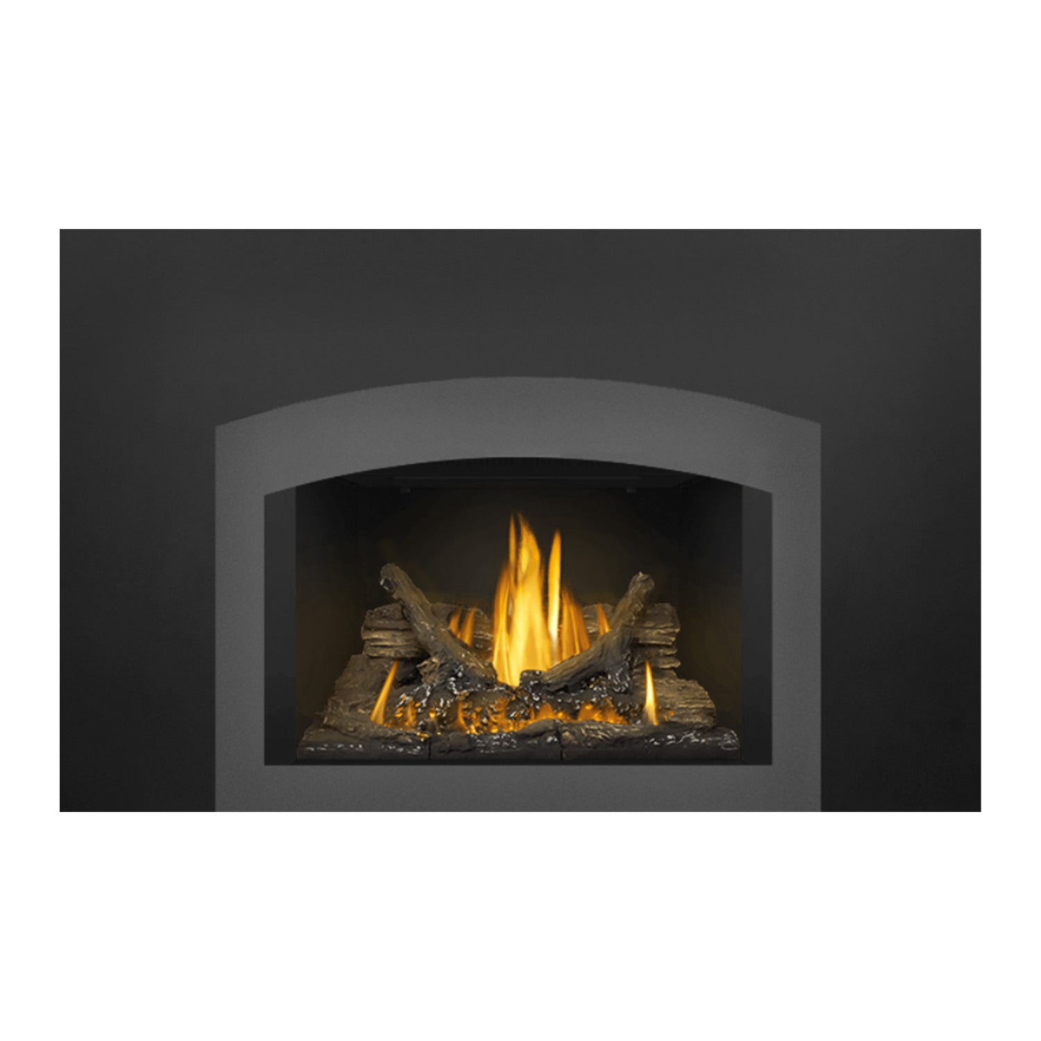 Napoleon GDI3N-1 Oakville Series Millivolt Ignition Direct Vent Gas Fireplace Insert