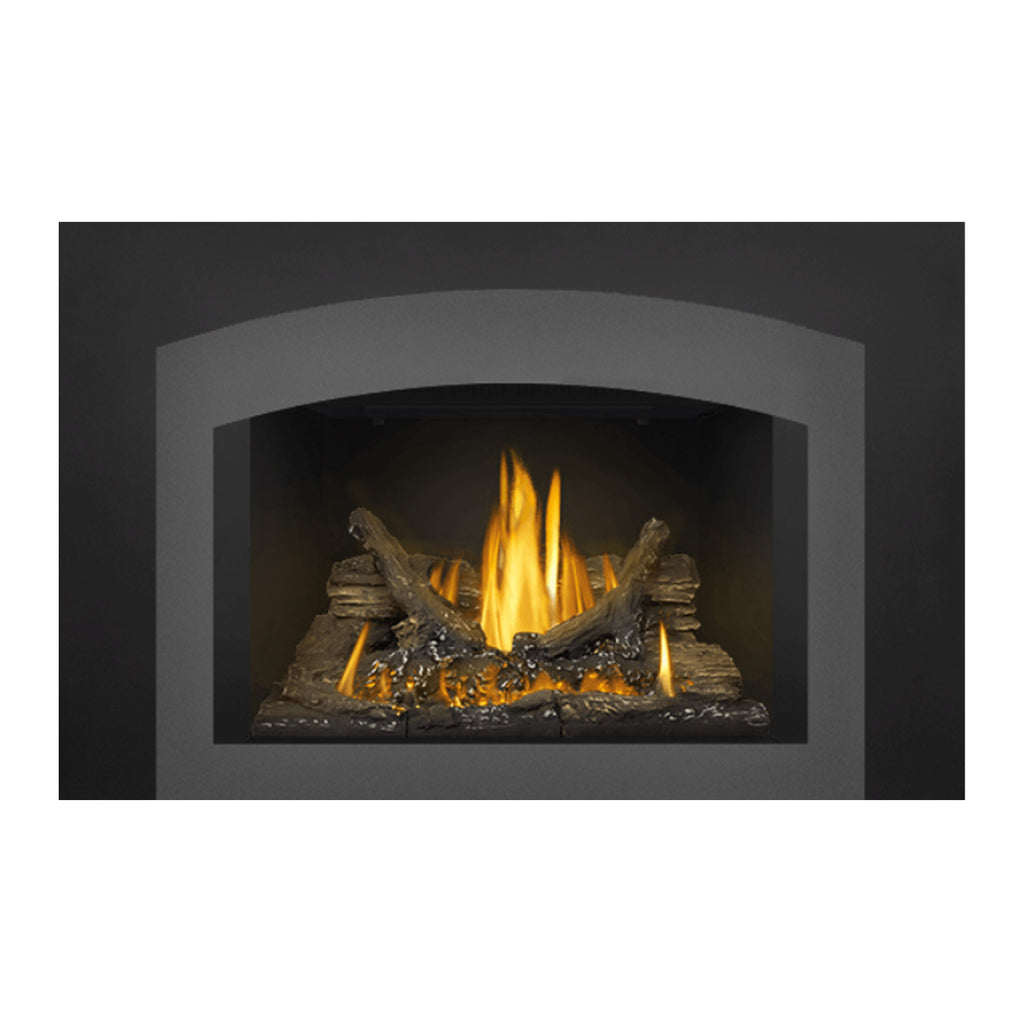 Napoleon GDI3NE-1 Oakville Series Electronic Ignition Direct Vent Gas Fireplace Insert