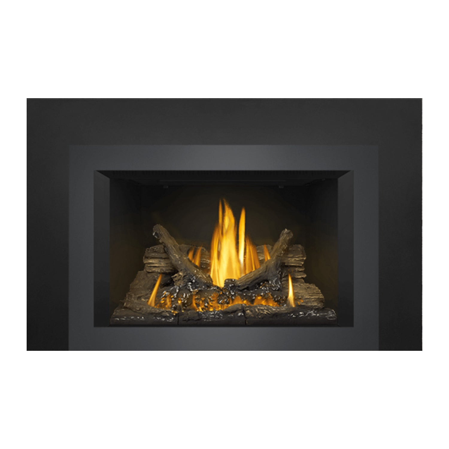 Napoleon GDI3NE-1 Oakville Series Electronic Ignition Direct Vent Gas Fireplace Insert