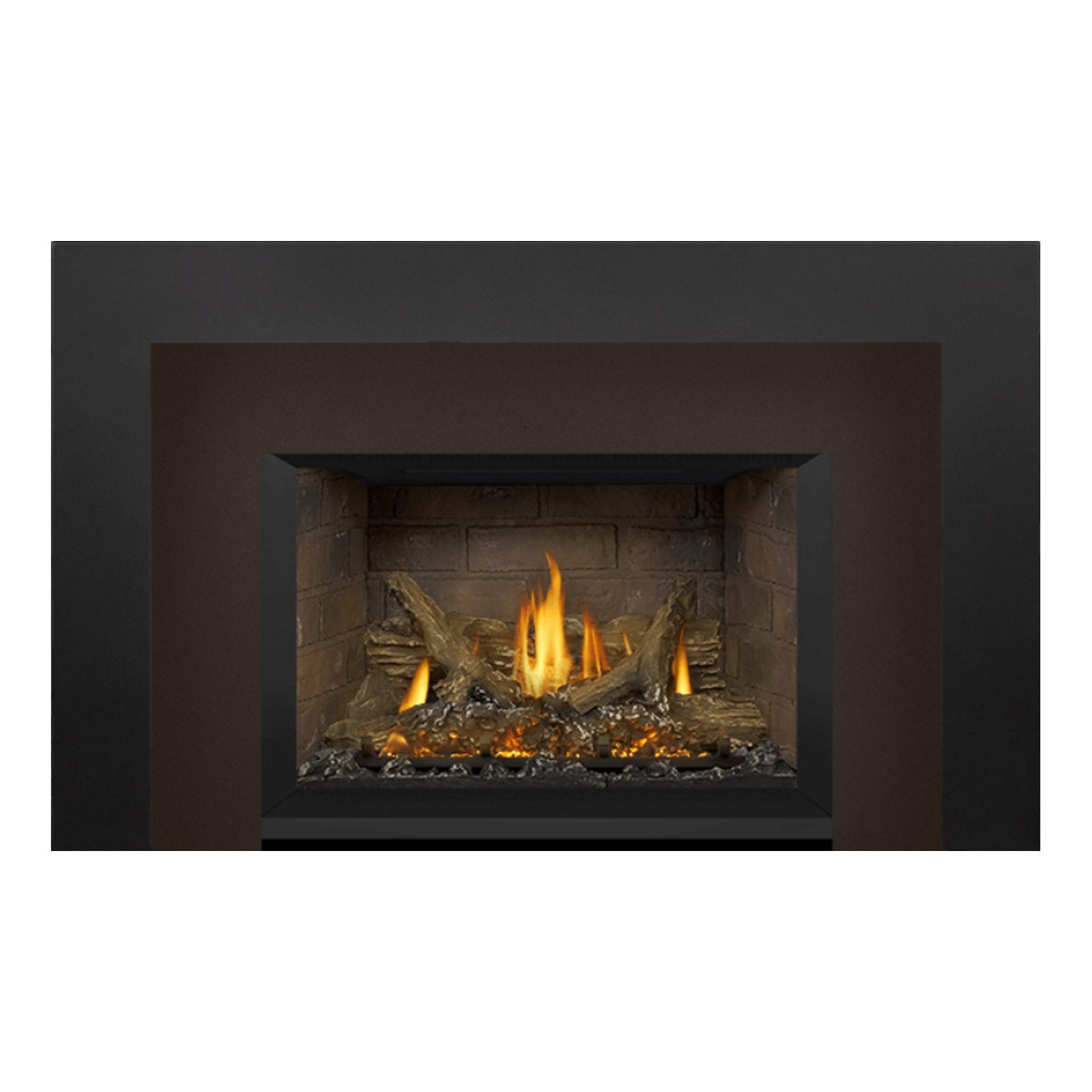 Napoleon GDIX3N-1 Oakville Series Electronic Ignition Direct Vent Gas Fireplace Insert