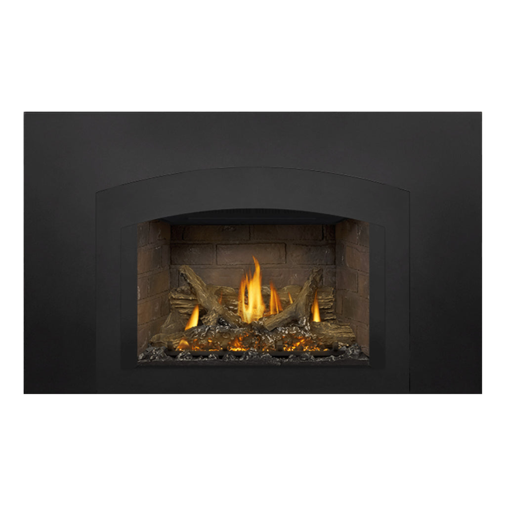 Napoleon GDIX3N-1 Oakville Series Electronic Ignition Direct Vent Gas Fireplace Insert