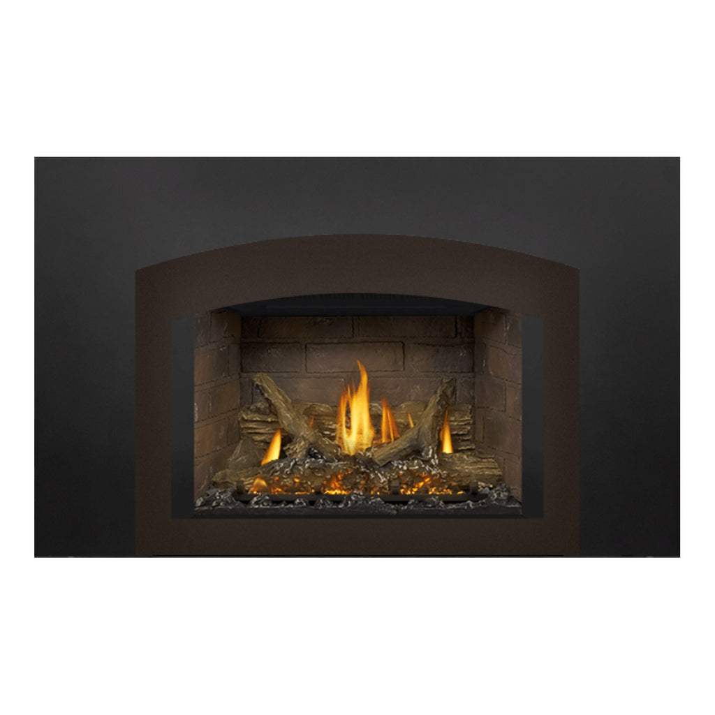 Napoleon GDIX3N-1 Oakville Series Electronic Ignition Direct Vent Gas Fireplace Insert