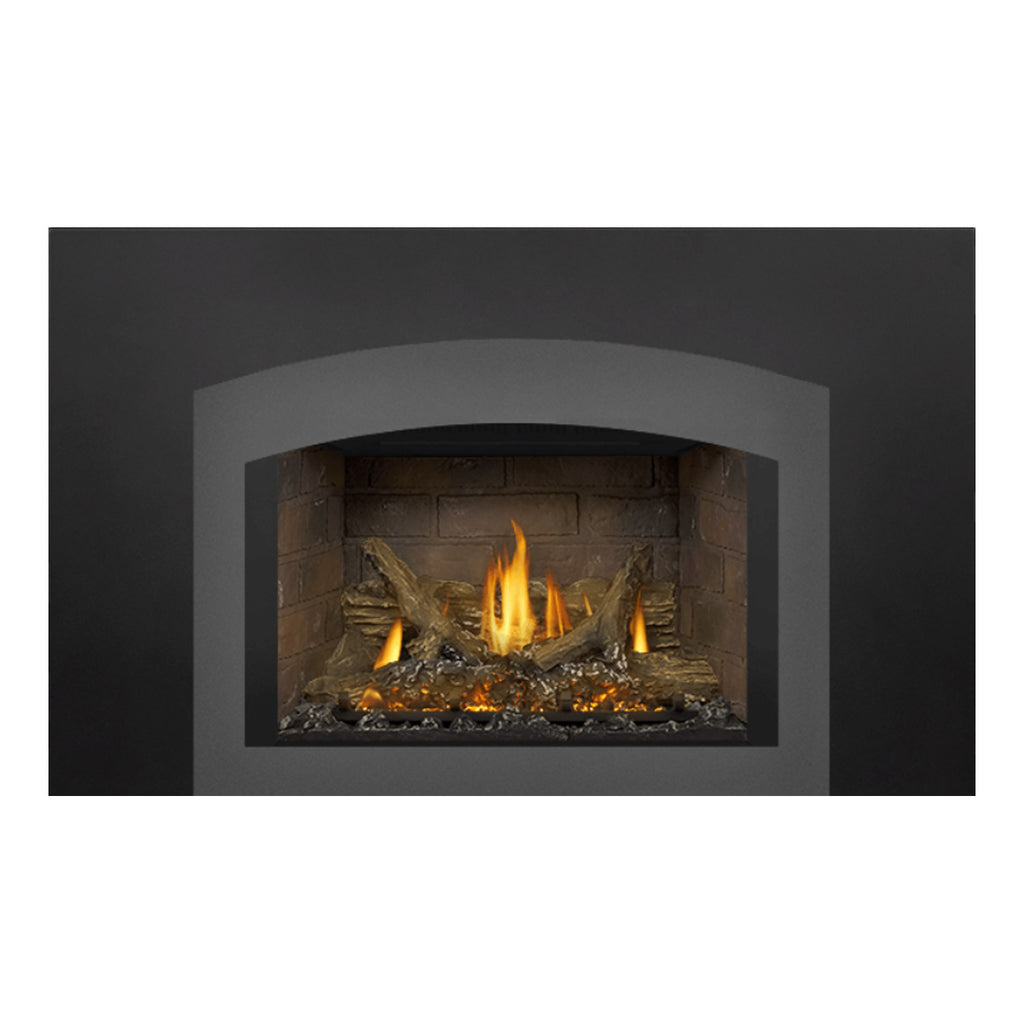 Napoleon GDIX3N-1 Oakville Series Electronic Ignition Direct Vent Gas Fireplace Insert