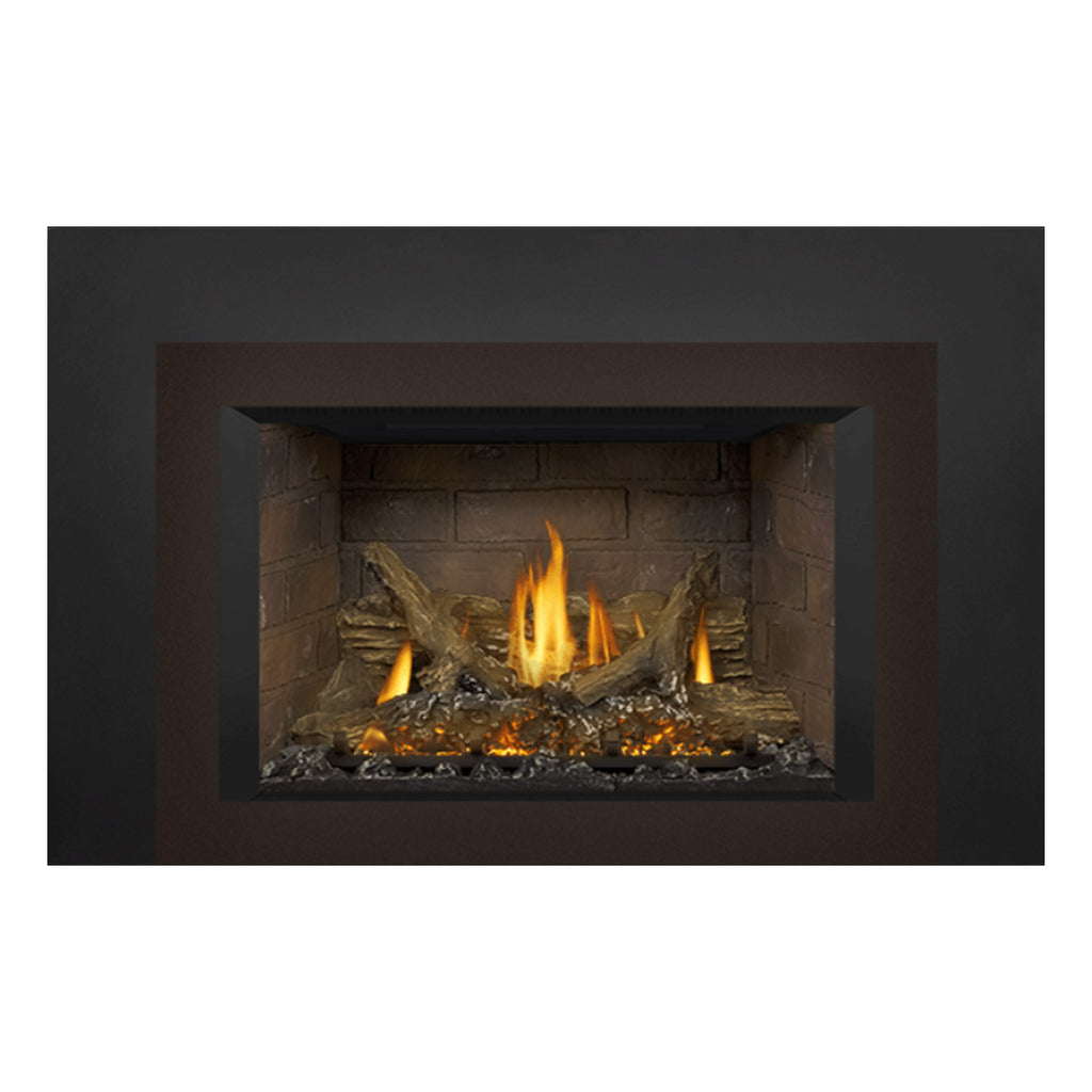 Napoleon GDIX3N-1 Oakville Series Electronic Ignition Direct Vent Gas Fireplace Insert