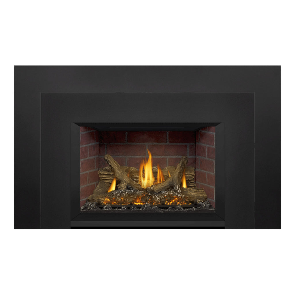Napoleon GDIX3N-1 Oakville Series Electronic Ignition Direct Vent Gas Fireplace Insert