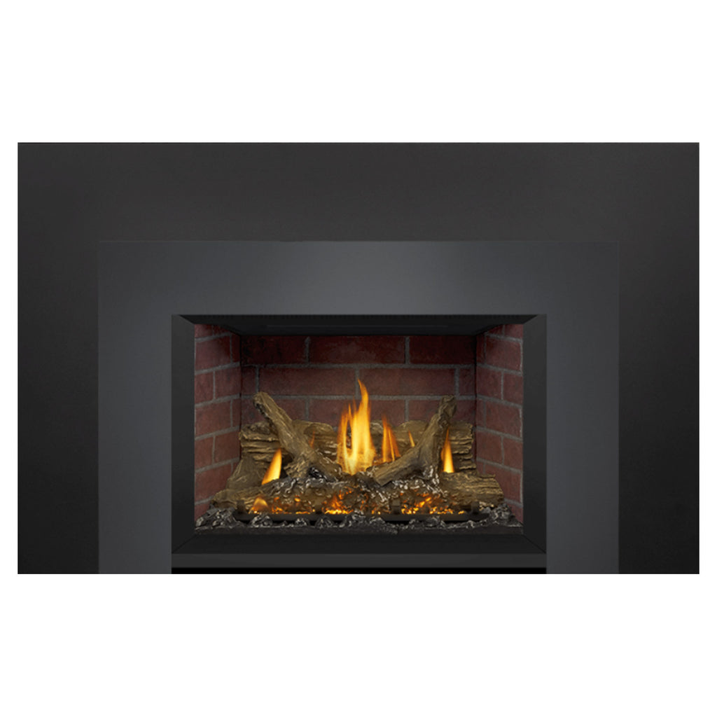 Napoleon GDIX3N-1 Oakville Series Electronic Ignition Direct Vent Gas Fireplace Insert
