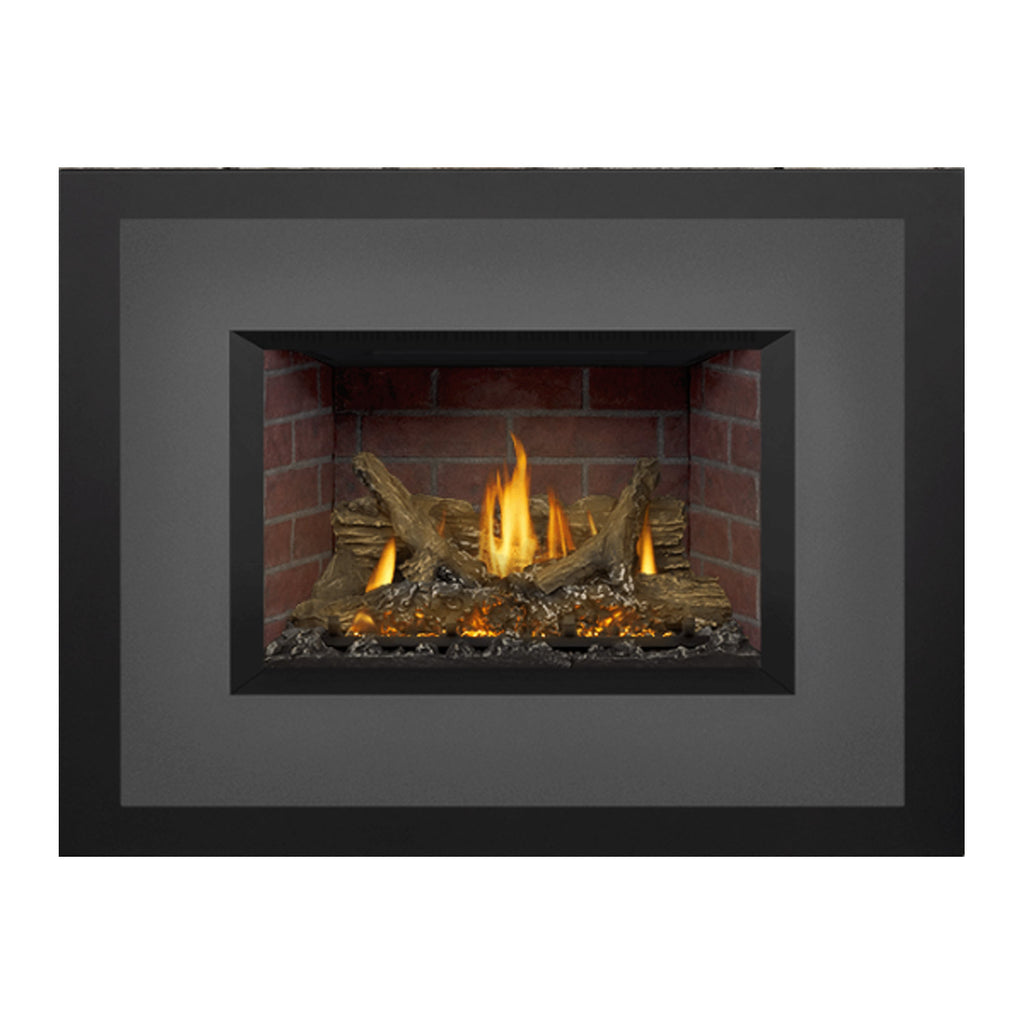 Napoleon GDIX3N-1 Oakville Series Electronic Ignition Direct Vent Gas Fireplace Insert