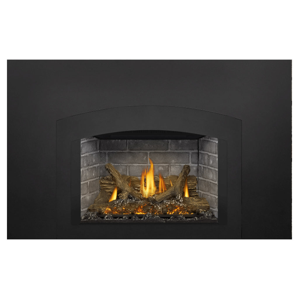 Napoleon GDIX3N-1 Oakville Series Electronic Ignition Direct Vent Gas Fireplace Insert