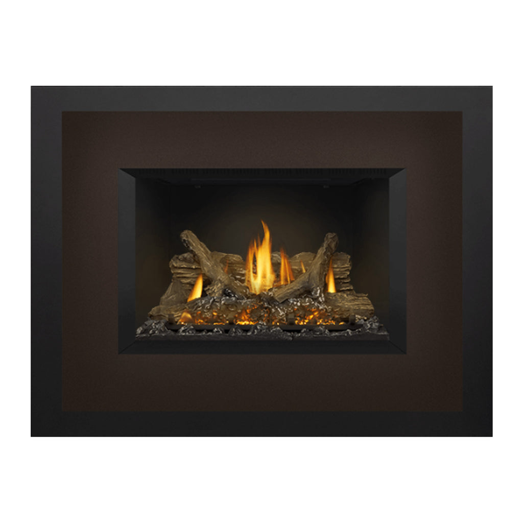 Napoleon GDIX3N-1 Oakville Series Electronic Ignition Direct Vent Gas Fireplace Insert